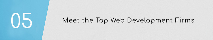 Web Development for Nonprofits Tip: Meet the top web development firms