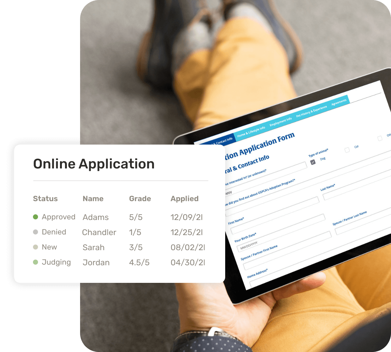 Create a Frictionless Online Application Experience
