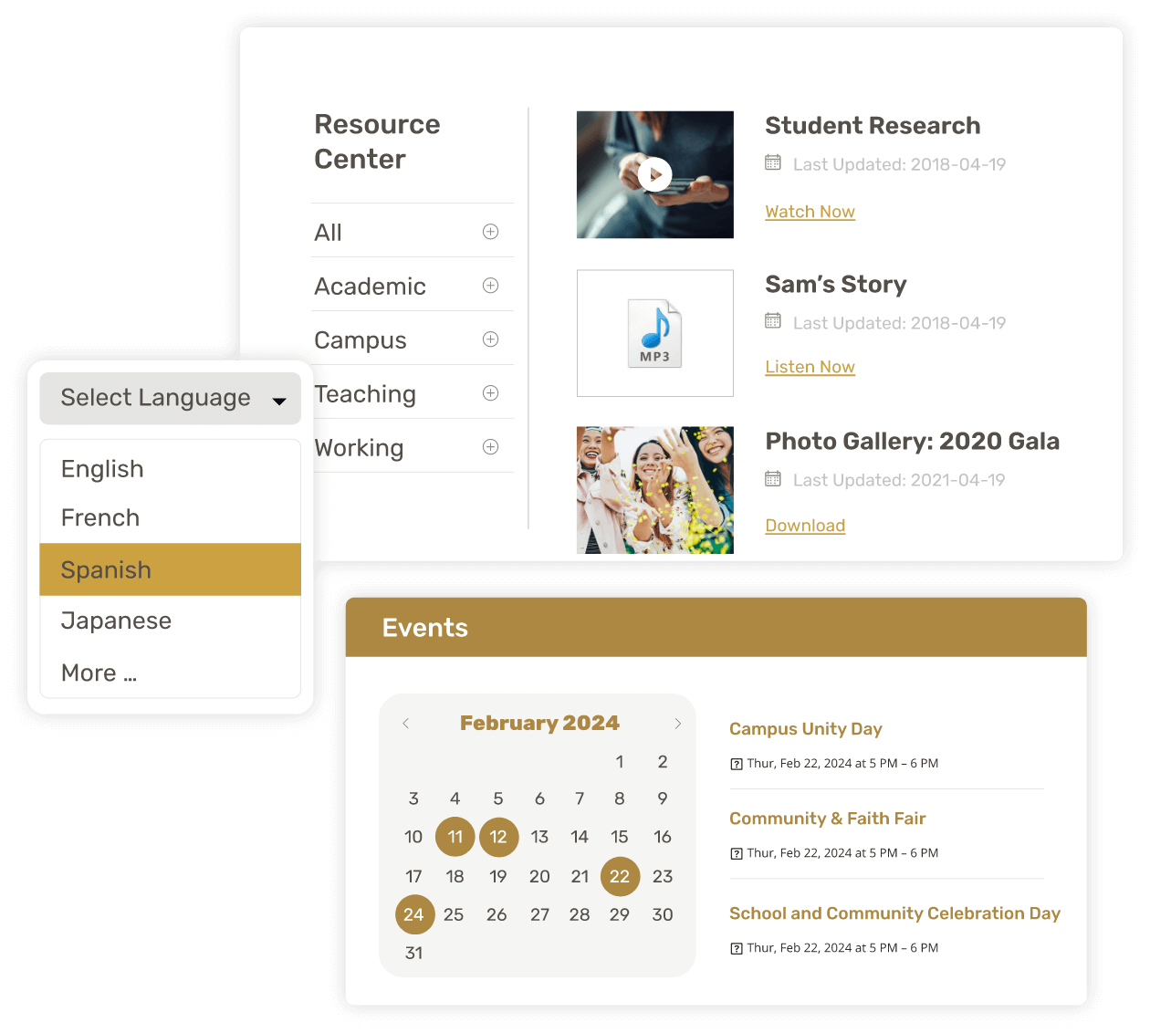 Custom Solutions for Different Types of Schools